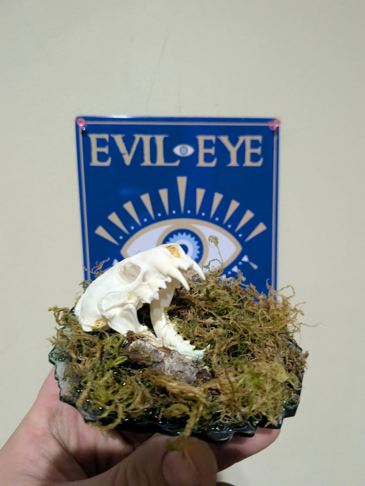 Oddities and Resin Pieces