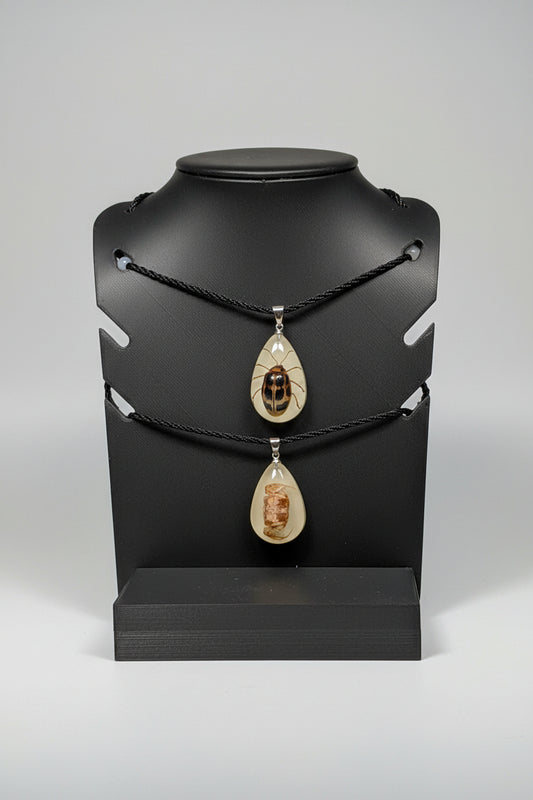 Glow in the dark Specimen necklaces (Mystery box)